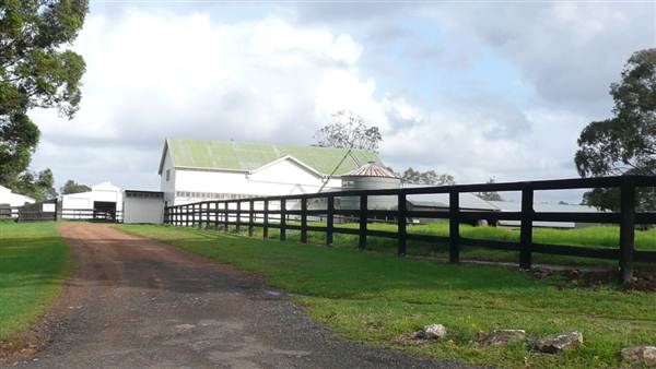 Lomar Park Stud (7/03/2013 10:03:40 AM)