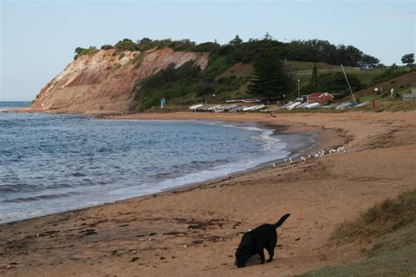 Long Reef Point (7/03/2013 10:25:00 AM)