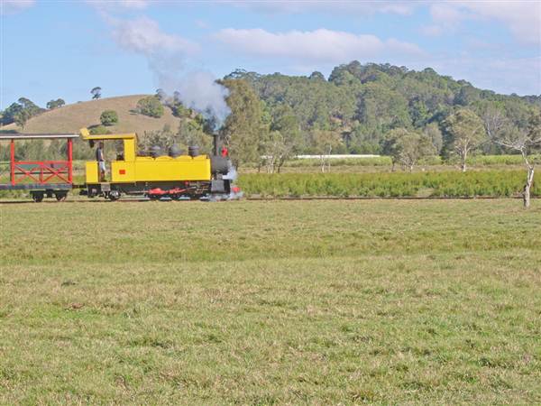 Tea Tree Estate (7/03/2013 12:11:41 PM)
