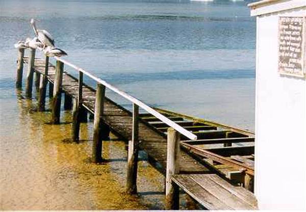 Merimbula (7/03/2013 1:02:37 PM)