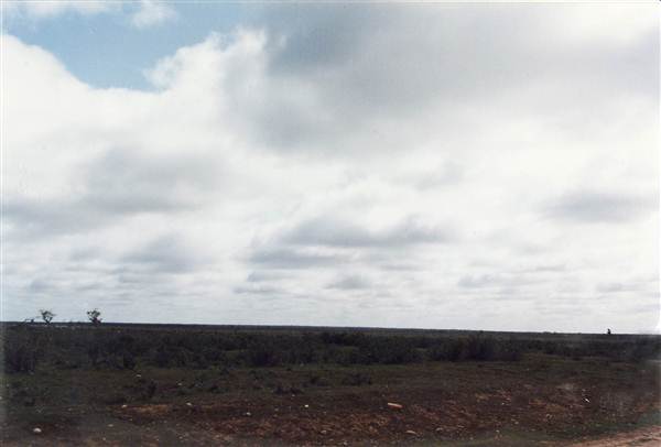 Mungo Lodge (7/03/2013 1:54:44 PM)