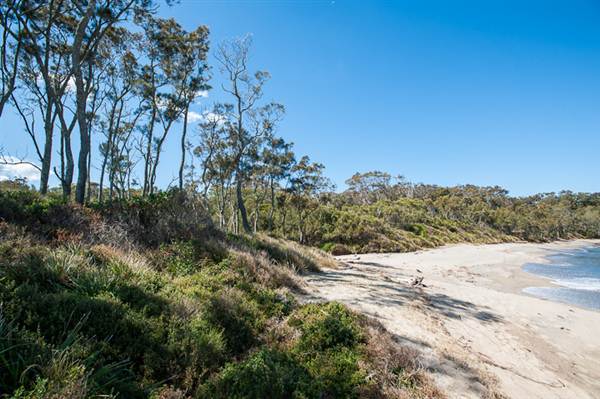 Murramarang National Park (7/03/2013 2:24:44 PM)