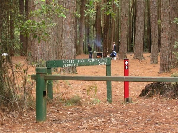 Olney State Forest (7/03/2013 3:03:55 PM)