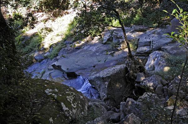 Minnamurra Falls (7/03/2013 11:43:29 PM)