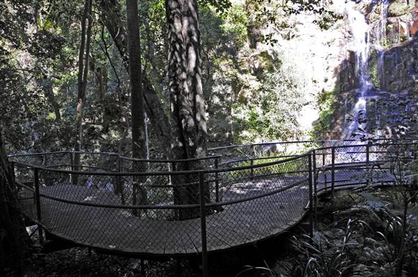 Minnamurra Falls (7/03/2013 11:44:18 PM)