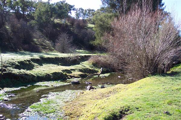 Molong (8/03/2013 12:13:29 AM)