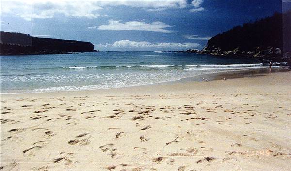 Royal National Park (8/03/2013 1:38:41 PM)