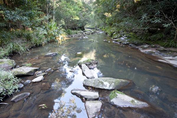 Royal National Park (8/03/2013 1:42:46 PM)
