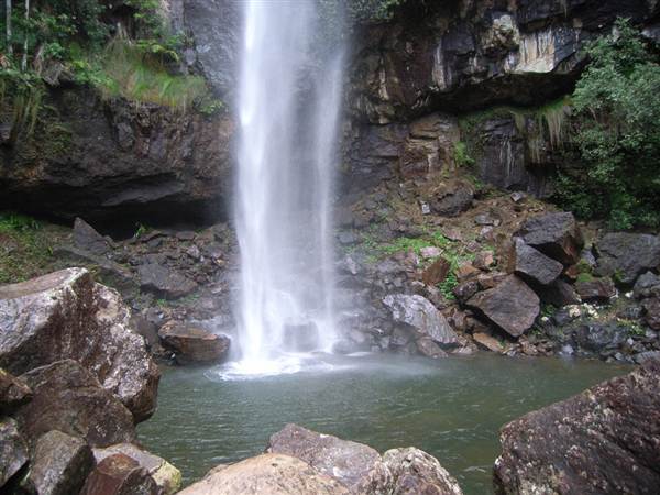 Terania Creek picnic area & Protesters Falls walking track (9/03/2013 1:40:18 AM)