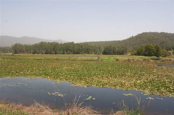 Clarrie Hall Dam (9/03/2013 1:52:48 AM)