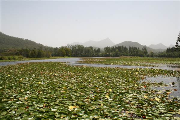 Clarrie Hall Dam (9/03/2013 1:55:06 AM)