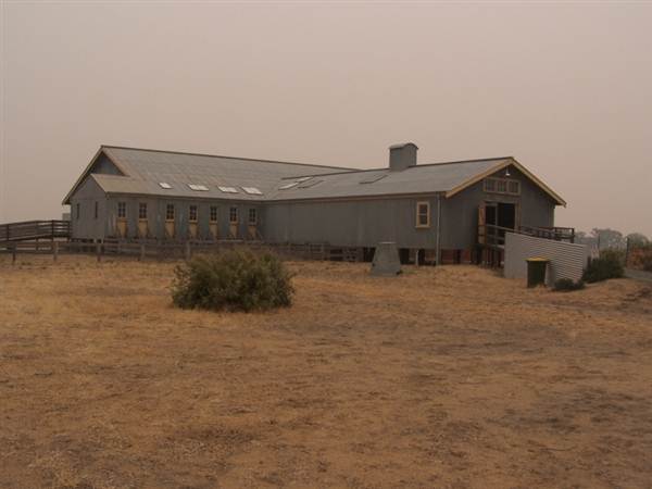Sheaffes Shearing Shed (9/03/2013 3:05:48 AM)