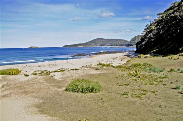 Pebbly Beach (9/03/2013 8:05:13 PM)