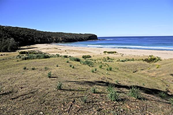 Pebbly Beach (9/03/2013 8:06:45 PM)