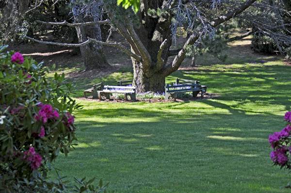 Robertson - Southern Highlands (9/03/2013 8:12:25 PM)