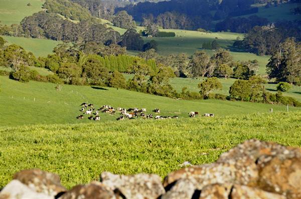 Robertson - Southern Highlands (9/03/2013 8:14:31 PM)