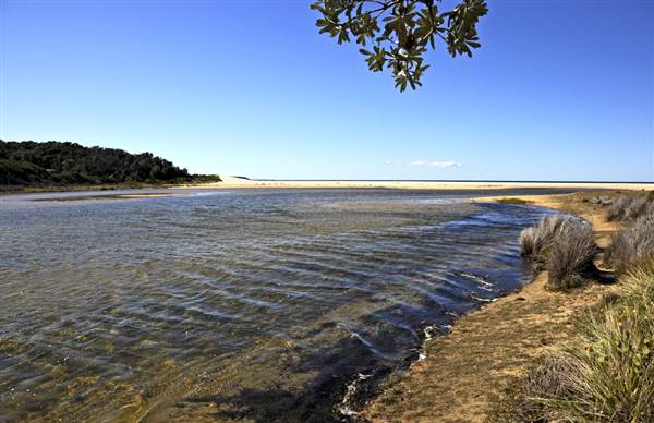 Tabourie Lake (9/03/2013 9:40:28 PM)