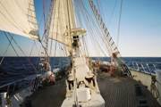 Young Endeavour (10/03/2013 11:49:17 PM)