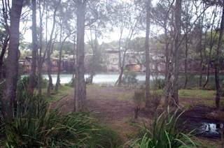 Wattamolla Beach (11/03/2013 12:59:28 PM)