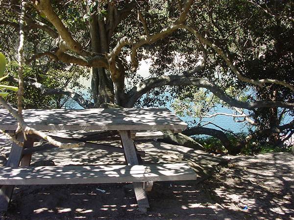 Wattamolla Beach (11/03/2013 12:59:52 PM)