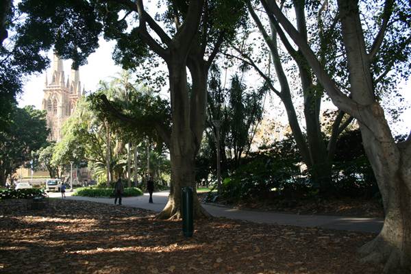 Hyde Park and Archibald Fountain - Sydney CBD (11/03/2013 1:09:33 PM)