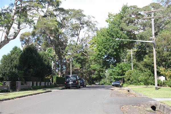 Braeside St - Pymble (13/03/2013)