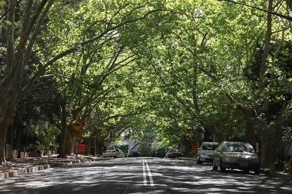 Water St - Pymble (13/03/2013)