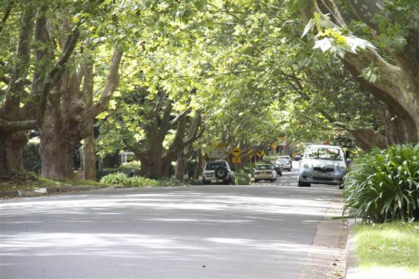 Wahroonga (13/03/2013)