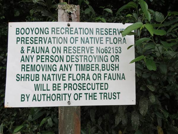Booyong Flora Reserve (11/04/2013)
