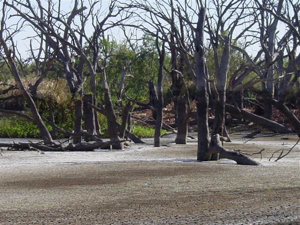 Broken Hill (24/04/2013)