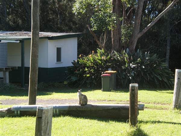 Don Hearn's Cabins (23/12/2012)
