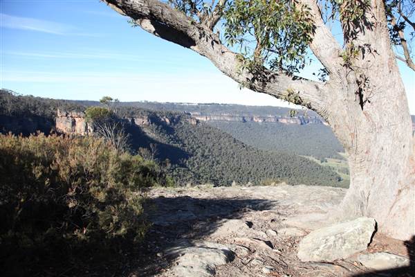 Hargraves Lookout - Shipley Plateau (18/06/2013)