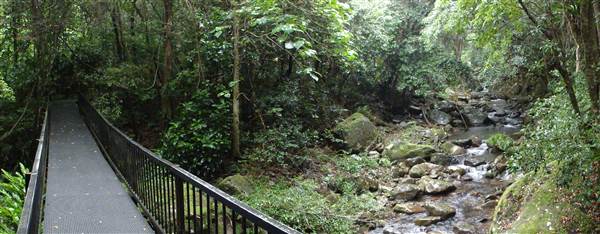 Minnamurra Rainforest Walk (28/02/2011 - Credits: Tony Brown/SISE)
