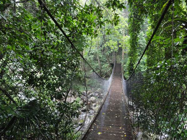 Minnamurra Rainforest Walk (28/02/2011 - Credits: Tony Brown/SISE)