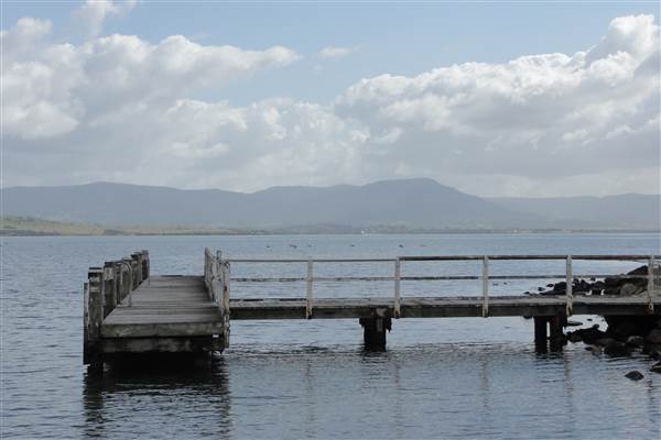 Lake Illawarra South-Skiway Park - Skiway Park & Moureendah Bay area (15/09/2011 - Credits: Tony Brown /SISE)