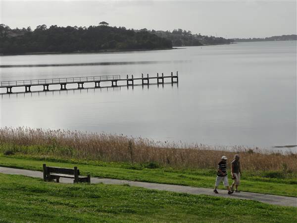 Lake Illawarra North-Holborn Park (15/09/2011 - Credits: Tony Brown /SISE)