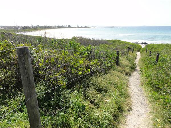 Shellharbour - The Shallows Coastal Reserve - The Shallows Coastal Reserve (15/09/2011 - Credits: Tony Brown /SISE)