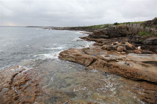 Bare Island (17/07/2013)