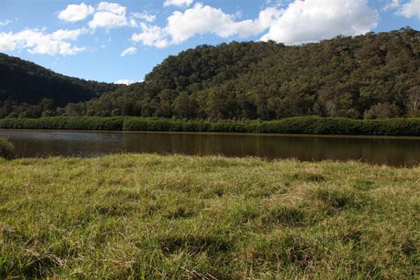 Freemans Reach (17/07/2013)