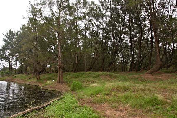 Yarramundi Reserve (17/07/2013)