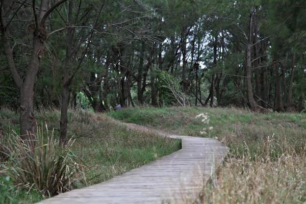 Yarramundi Reserve (17/07/2013)
