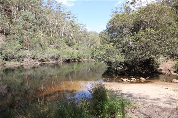 Georges River Nature Reserve (17/07/2013)