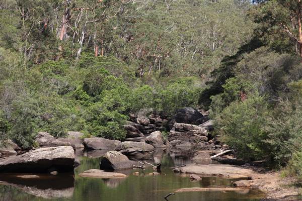Georges River Nature Reserve (17/07/2013)