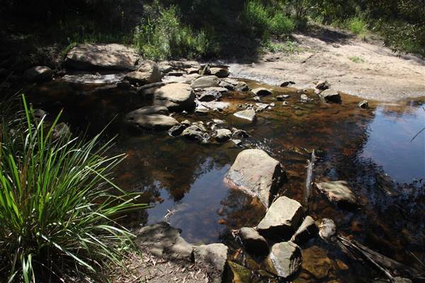 Georges River Nature Reserve (17/07/2013)