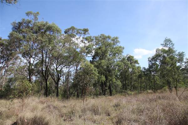 Georges River Nature Reserve (17/07/2013)