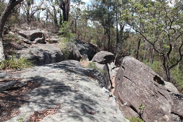 Ted Horwood Reserve (17/07/2013)