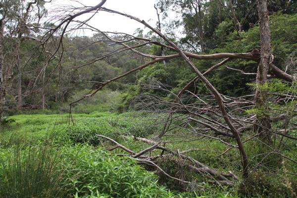 Narrabeen (17/07/2013)