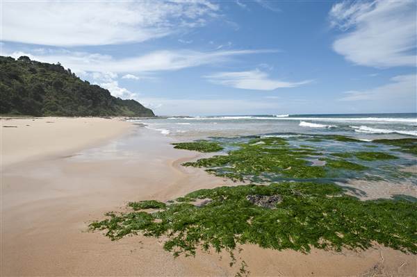 Scarborough Beach (19/07/2013)