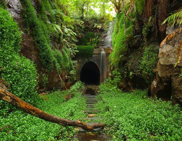 Helensburgh Tunnel (19/07/2013 - Credits: Chris Reynolds)