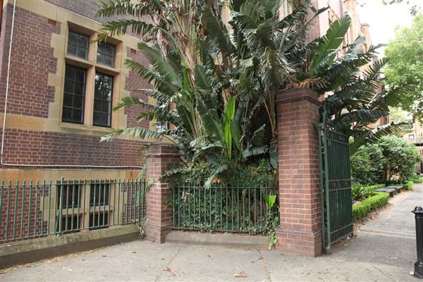 Old Teacher's College - The University of Sydney (27/11/2013)